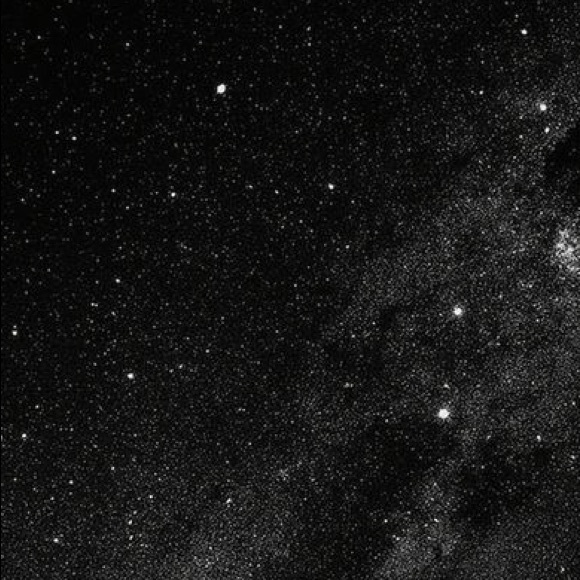 Meet your Posher, Jessica - Picture 1 of 1